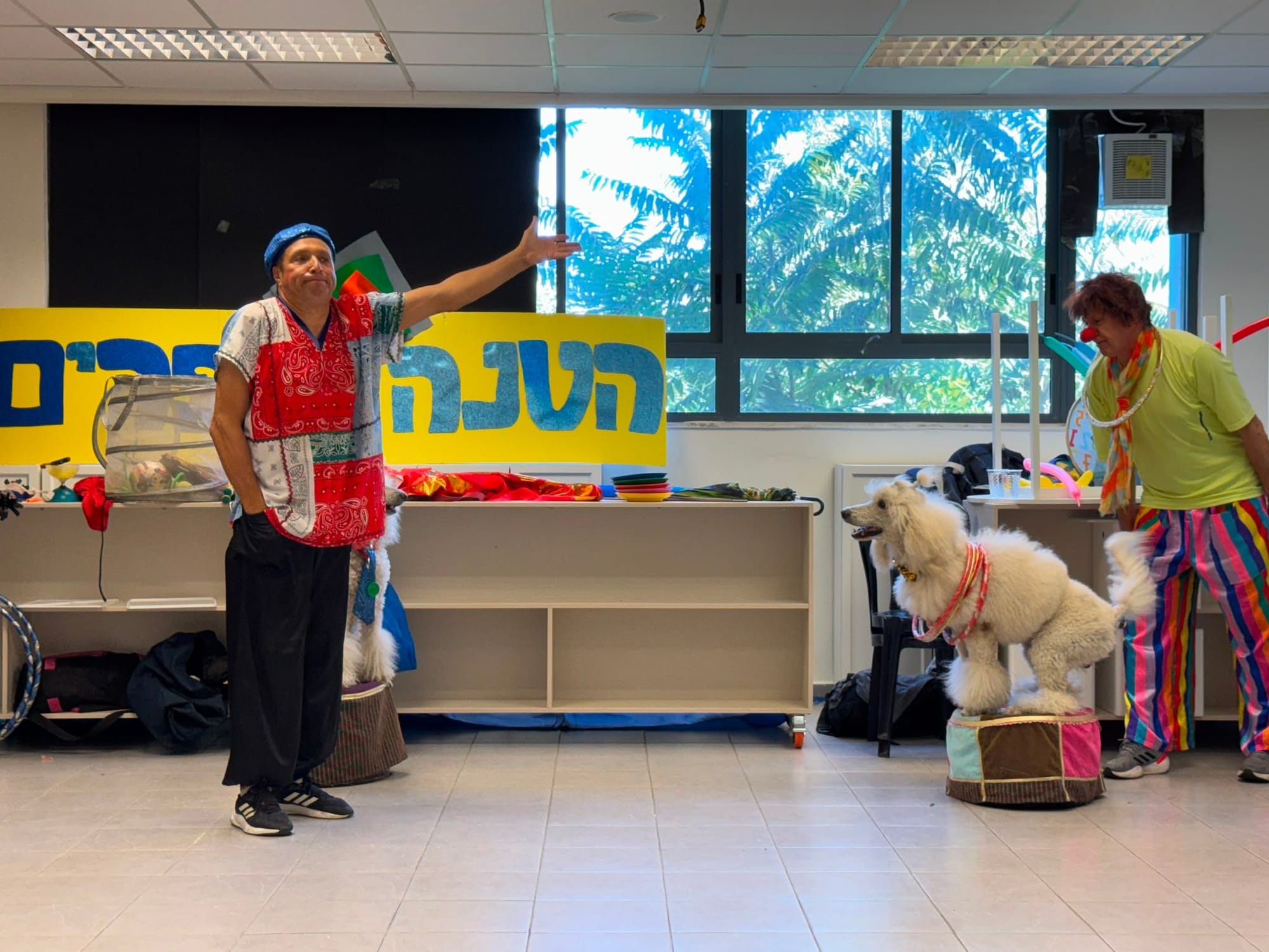 קרקס