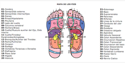 Reflexología: el mapa del cuerpo en tus pies -Por Ana María Neira, Terapeuta Centro Sigalit