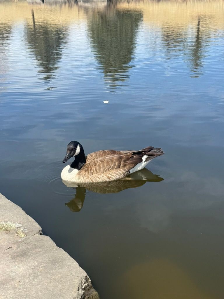 A Different Type of Pesach