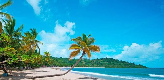 Soggiorno nel meraviglioso Madagascar - sull' isola di Nosy Be   -   Dal 4 al 12 maggio 2026