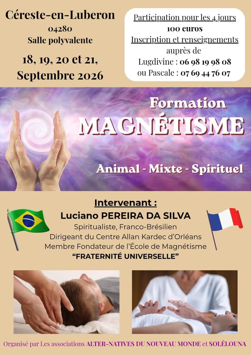 Stage de Magnétisme