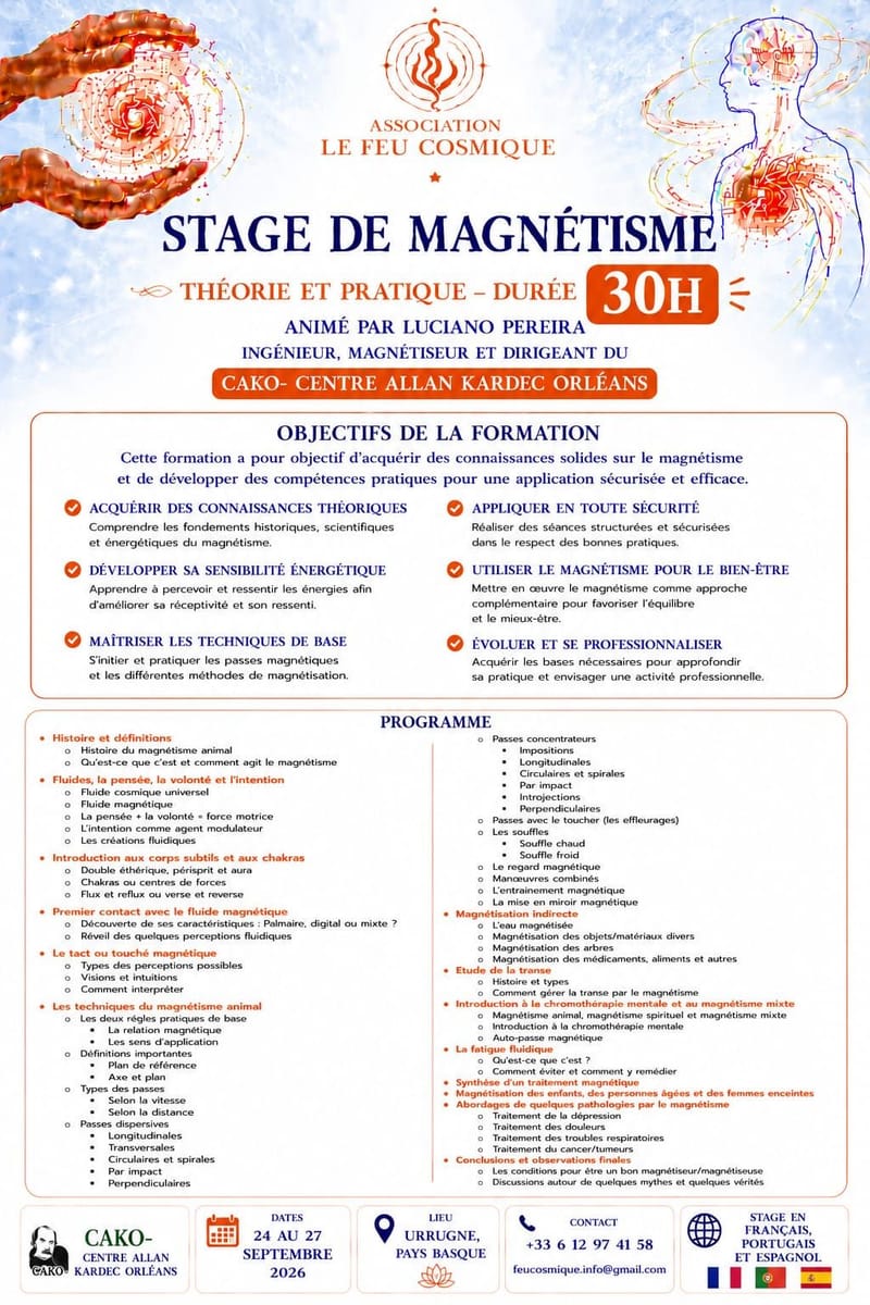 Stage de Magnétisme
