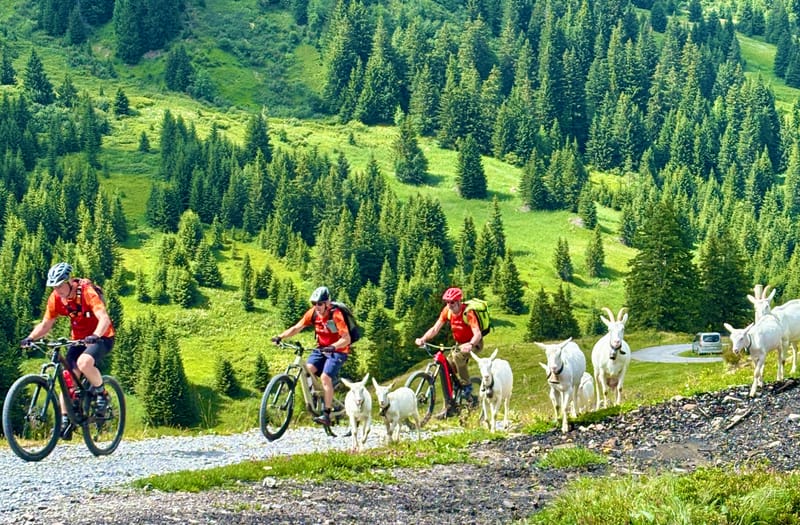 Adelboden (CH) - Betelberg (CH)