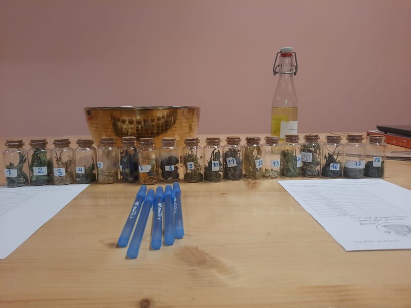 ATELIER "fabrication de sa tisane personnalisée" au magasin LOR N Bio à Toul