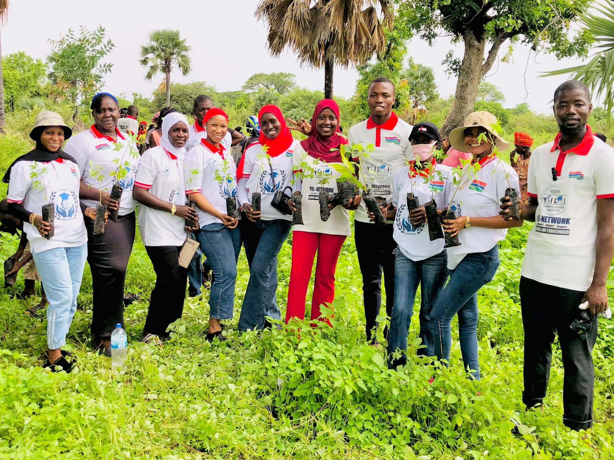 YIL-Network Gambia Chapter Leads Reforestation Efforts at Kudang Forest Park