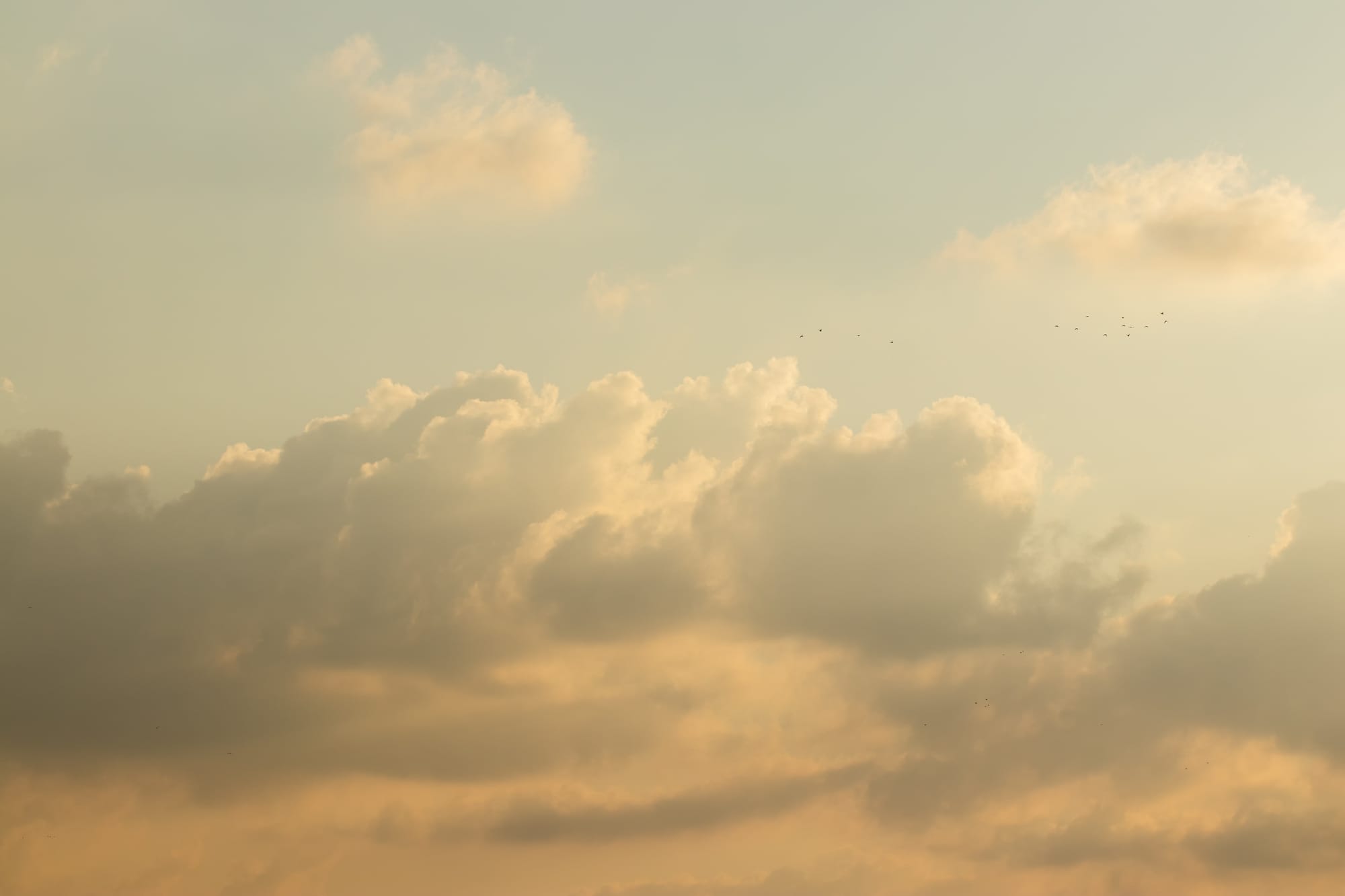 A manifesztáció igazi titka