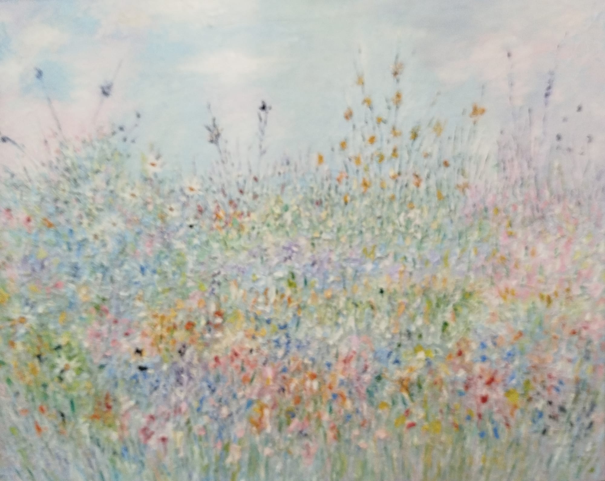 141. Spring meadow.