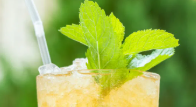 Virgin Mojito