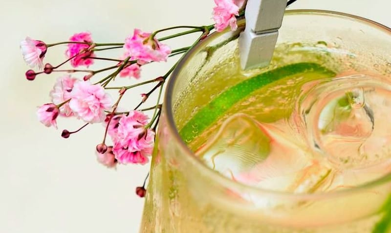 Kataleya  (avec Champagne)*