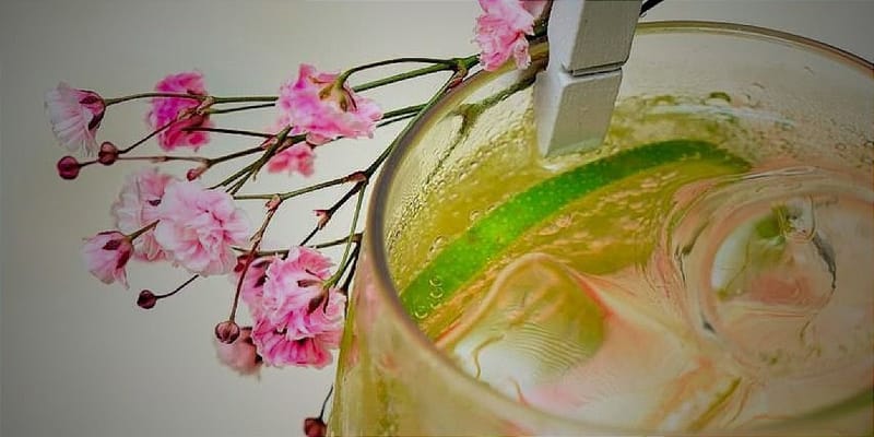 Kataleya (avec Champagne)*