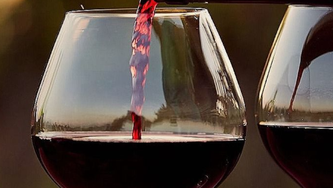 Saint-nicolas de bourgueil 2023