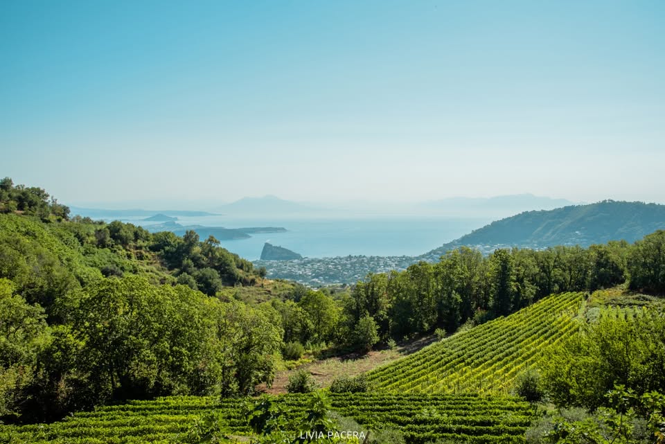 Nel periodo in cui Ischia appartenne alla Sicilia (1287-1299) è ambientata la sesta novella della quarta giornata del Decamerone,