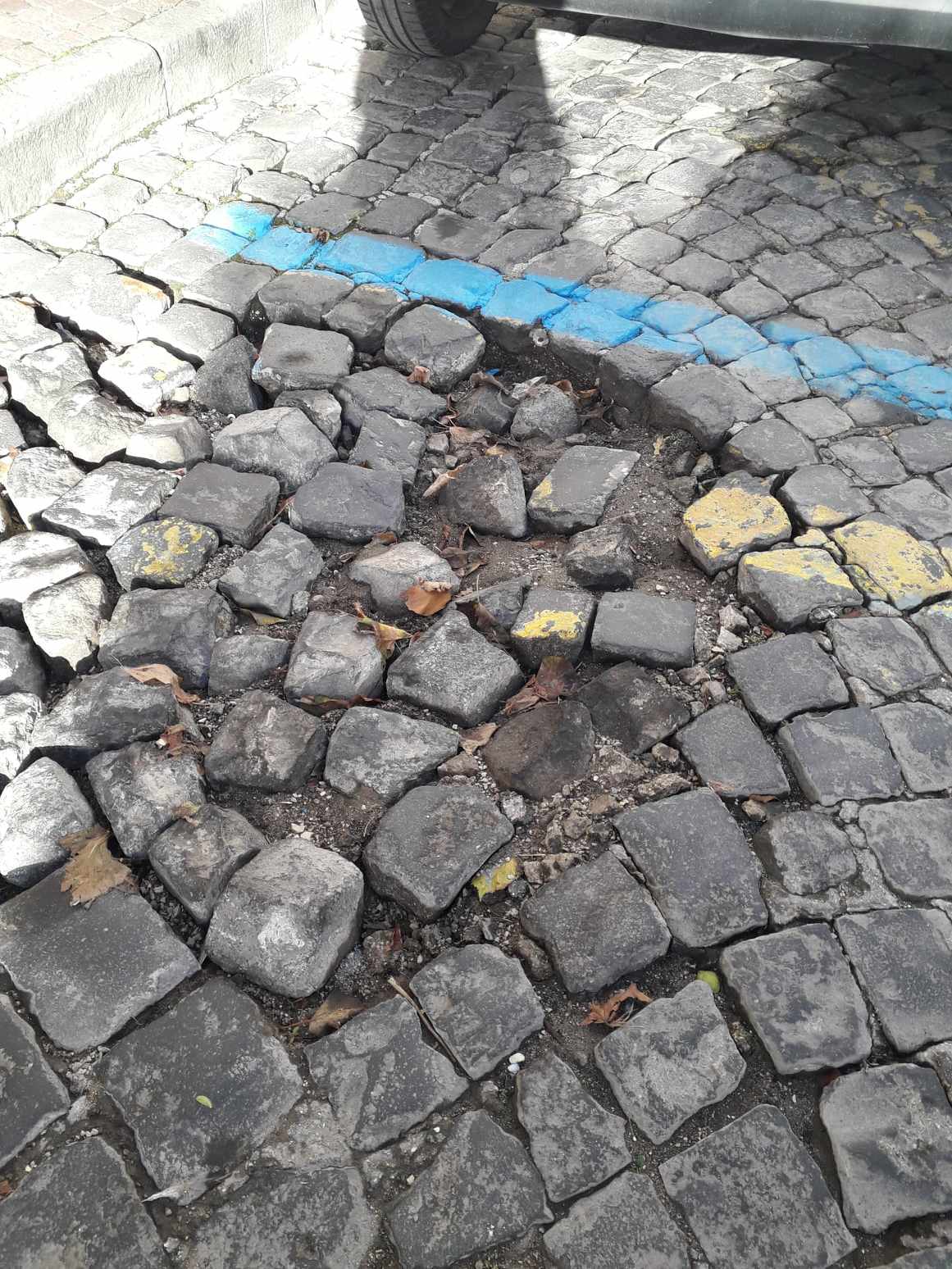 ISCHIA. UNA PETIZIONE CONTRO IL DEGRADO DI CORSO VITTORIA COLONNA