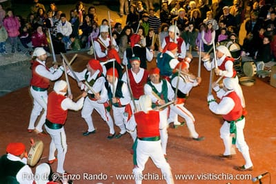 Ischia le nostre piante : LA VITE