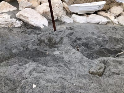 LE STUFE DELL'ISOLA D'ISCHIA ( D'Ascia)