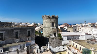 LE FORTIFICAZIONI DELL'ISOLA D'ISCHIA