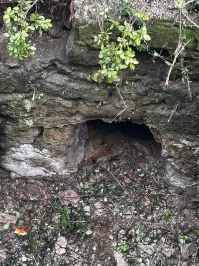 CASAMICCIOLA: LA FONTE DEL GURGITELLO