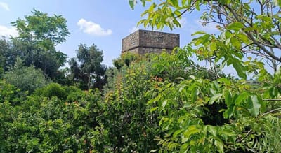 Borgo di Monterone a Forio ( d'ascia)
