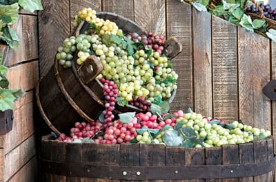 METODO DEI VINI A ISCHIA