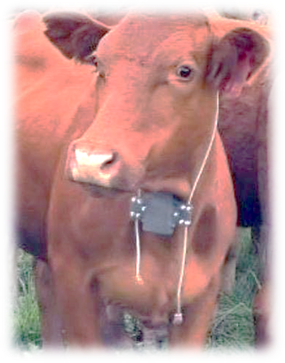 Game and Livestock Tracking