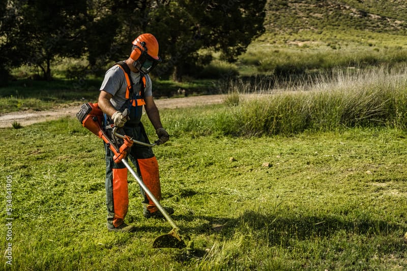 Débroussaillage préventif