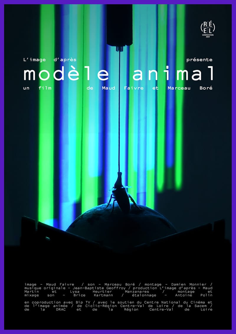 Mois du film documentaire 2024 : projection de Modèle animal