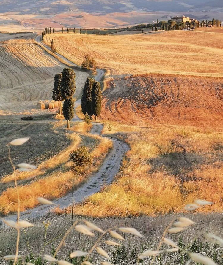 RADUNO BICI DA STRADA/GRAVEL