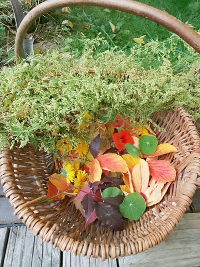 Dankbarkeits-Stille-Ritual