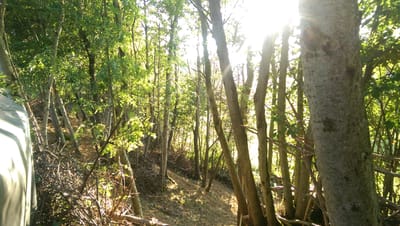 Zeitqualität Anfang März 2026