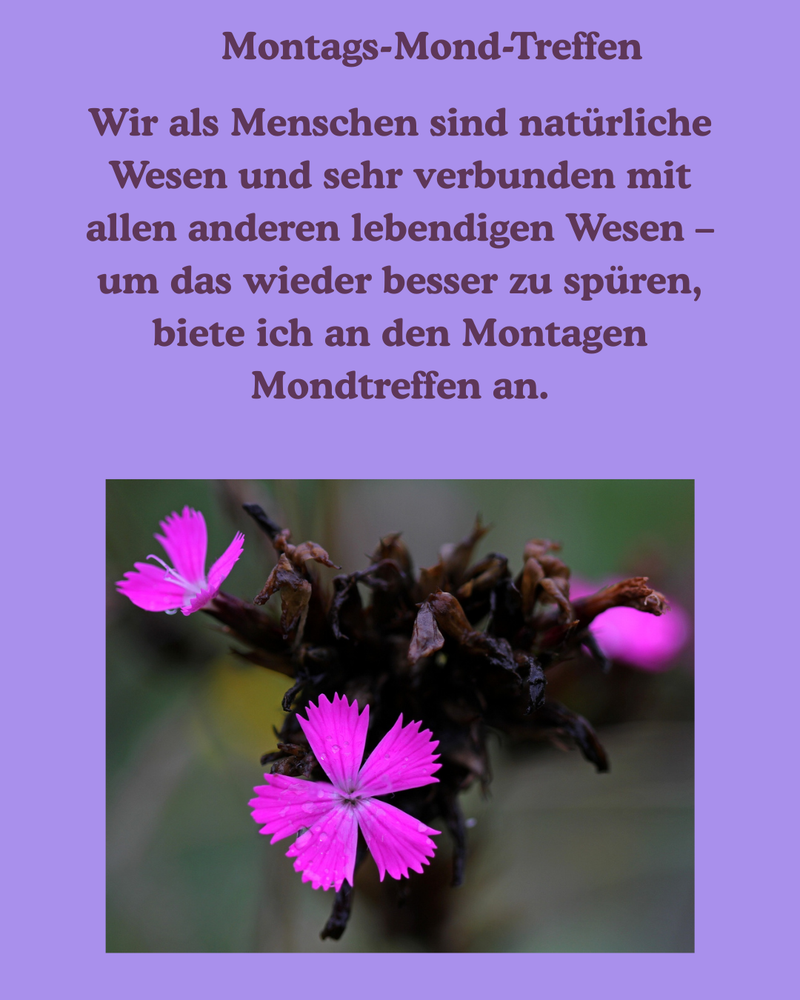 Montags-Mond-Treffen