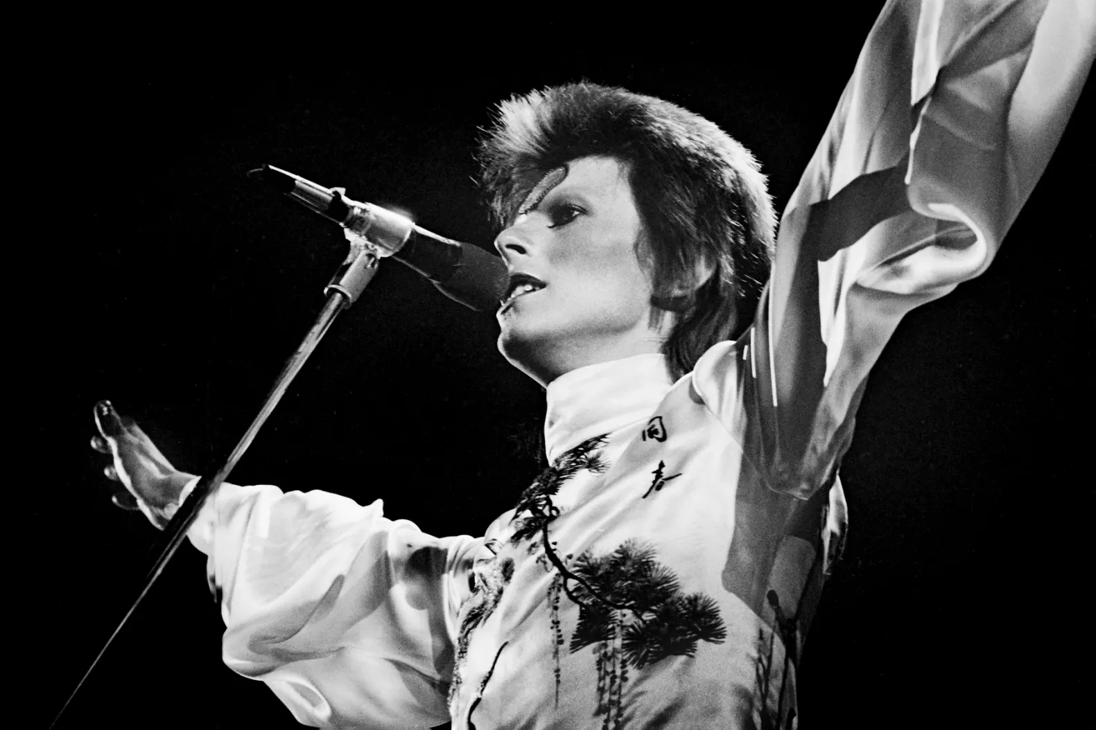 Ziggy Played Guitar