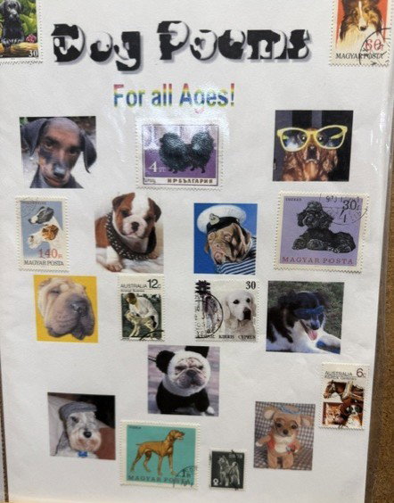 Dogs