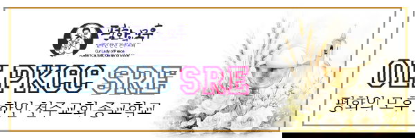 Weekly SRE Announcement