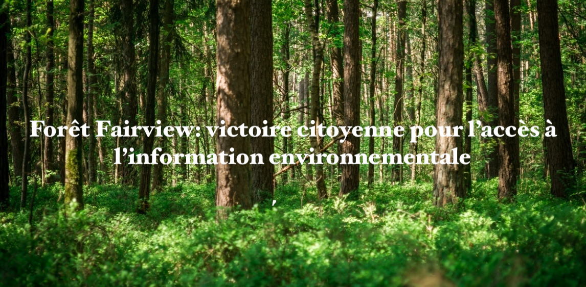 Le 15 août 2024 - Forêt Fairview: victoire citoyenne pour l’accès à l’information environnementale