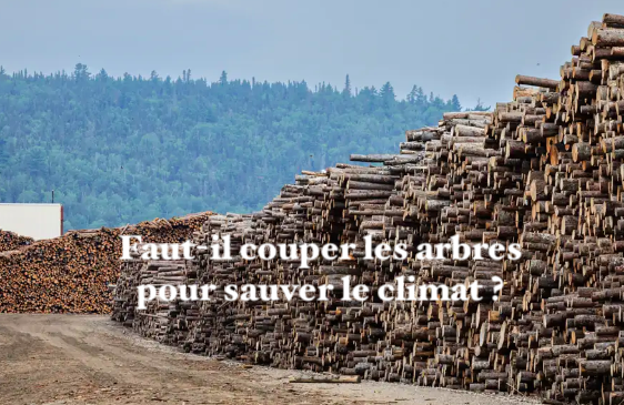 Le 28 août 2024 - Faut-il couper les arbres pour sauver le climat ?