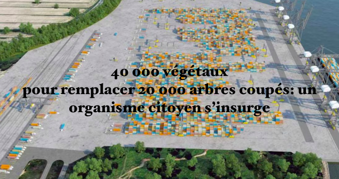 Le 9 septembre 2024 - 40 000 végétaux pour remplacer 20 000 arbres coupés: un organisme citoyen s’insurge