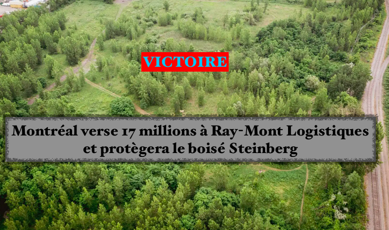 Le 12 septembre 2024 - Montréal verse 17 millions à Ray-Mont Logistiques et protègera le boisé Steinberg