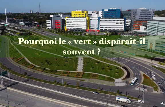 Le 23 septembre 2024 -Pourquoi le « vert » disparaît-il souvent ?