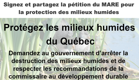 Pétition : Protéger les milieux humides - date limite le 2 décembre 2024