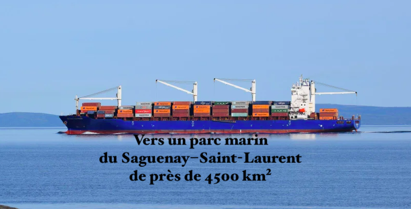 Le 21 octobre 2024 - Vers un parc marin du Saguenay–Saint-Laurent de près de 4500 km²