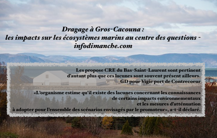 Le 1er novembre 2024 - Dragage à Gros-Cacouna : les impacts sur les écosystèmes marins au centre des questions - Infodimanche.com