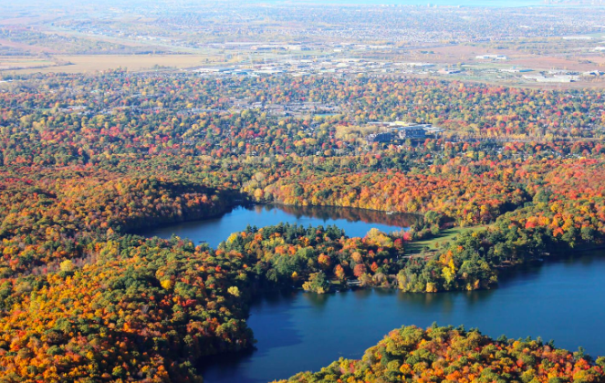 Le 17 février 2025 - Restauration des milieux humides en Montérégie: plus de 28 M$ dorment dans les coffres de l’État