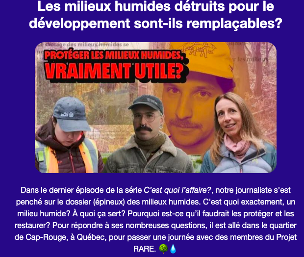 Les milieux humides détruits pour le développement sont-ils remplaçables? | Terrain -