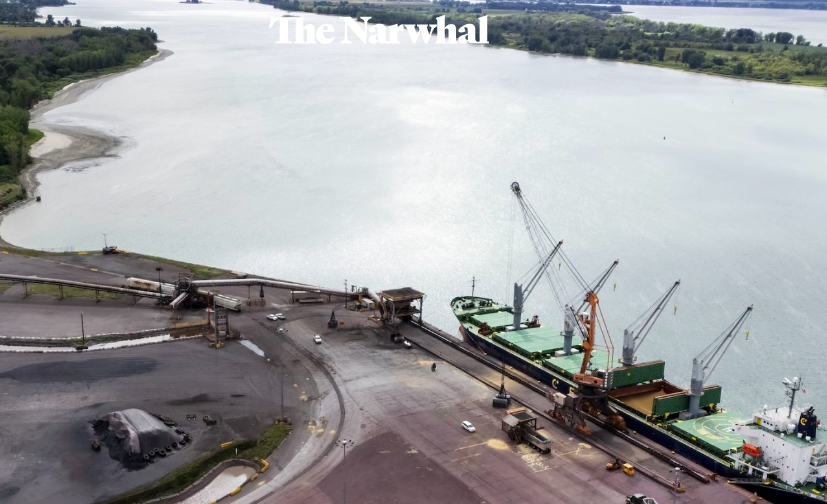 Le 9 0ctobre 2025 - L’expansion du Port de Montréal pose de sérieux risques à un poisson menacé qui ne se trouve qu’au Québec
