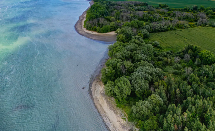 Le 17 novembre 2025  Le Devoir - Ottawa a autorisé un projet de «compensation» qui détruira des portions de l’habitat de cette espèce menacée.