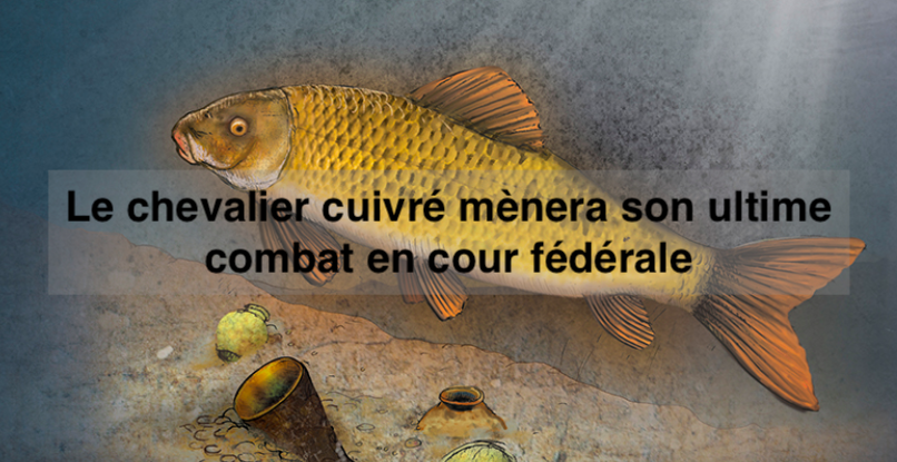 Le 9 février 2026 -  Le chevalier cuivré mènera son ultime combat en Cour fédérale - Revue de presse - communiqué SNAPQuébec/CQDE