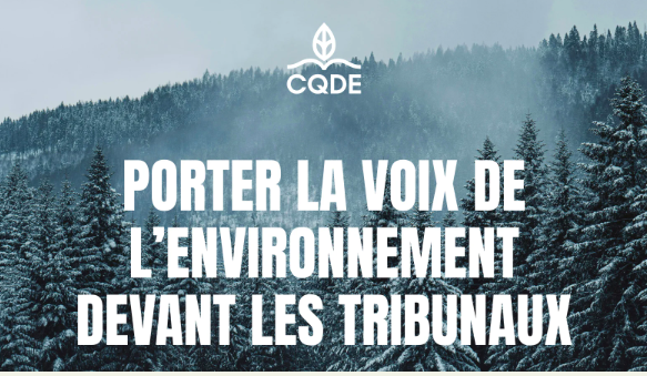CQDE - Porter la voix de l’environnement devant les tribunaux - Ressources