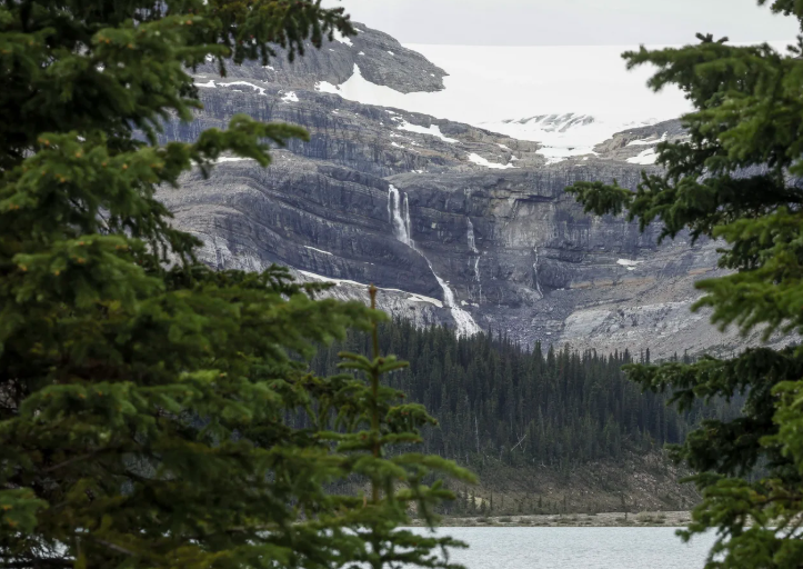 Le 28 février 2026 - Les dépenses consacrées à la conservation de la nature stimulent l’activité économique - Le Devoir