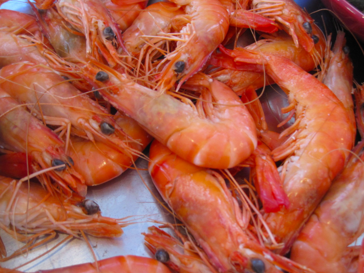 2026/02 - Regarder derrière son épaule ce qui se profile! Voir venir pour mieux prévenir - Le mouton noir - Par Michel Pagé