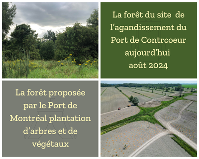 Le Port de Montréal manque de transparence sur son programme  de plantation d’arbres et de végétaux à Contrecoeur